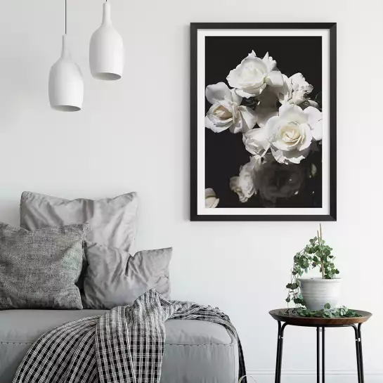 Rose blanche - poster romantique