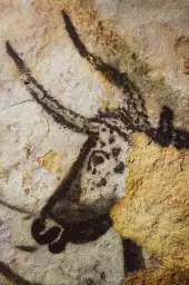 Les grottes de Lascaux - reproduction