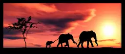 Petite famille éléphant - peinture afrique