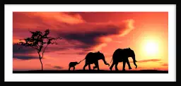 Petite famille éléphant - peinture afrique