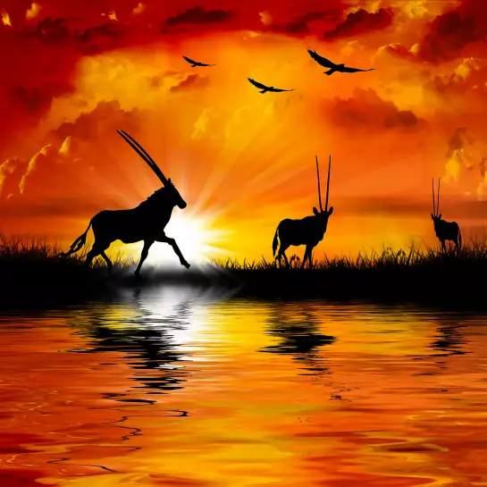 Paysages africains - poster animaux