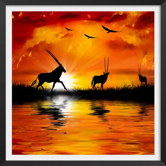 Paysages africains - poster animaux