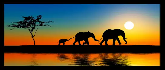 Elephant au soleil couchant - peinture afrique