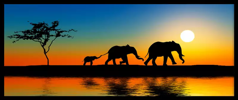 Drapeau de jardin d'été éléphant d'Afrique exotique coloré décoratif  coucher de soleil savane - Cdiscount Maison