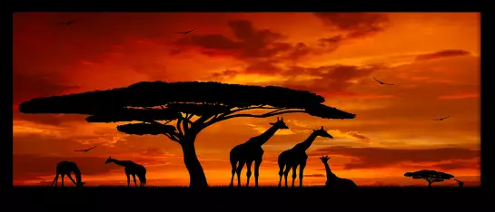 Girafes et baobab - peinture afrique