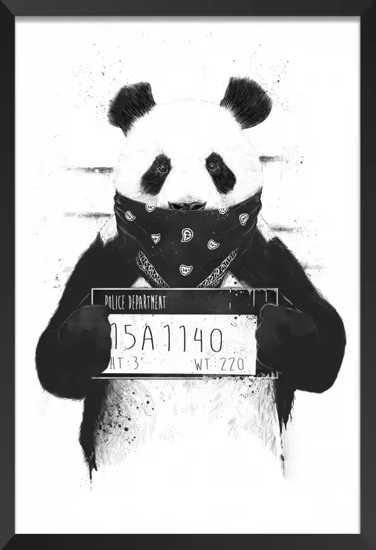 Wanted panda - animaux en noir et blanc