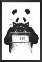 Wanted panda - animaux en noir et blanc