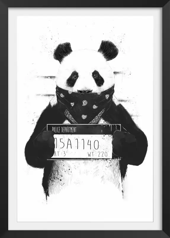 Wanted panda - animaux en noir et blanc