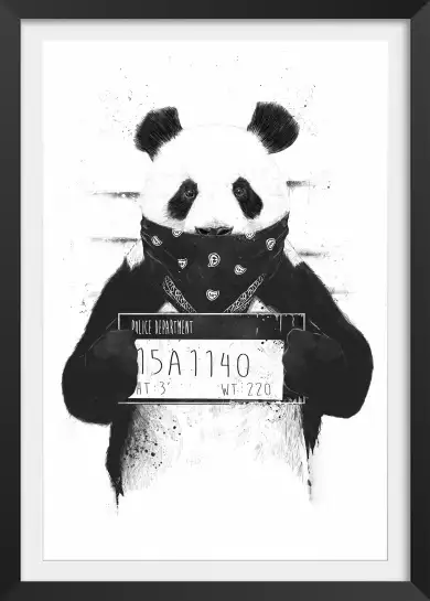 Wanted panda - animaux en noir et blanc