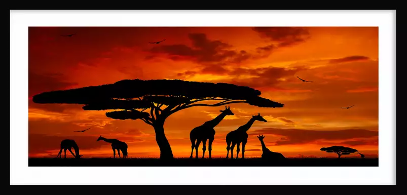Girafes et baobab - peinture afrique