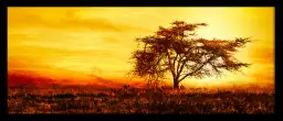 Savane sous le soleil brulant - tableau afrique