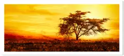 Savane sous le soleil brulant - tableau afrique