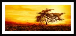 Savane sous le soleil brulant - tableau afrique