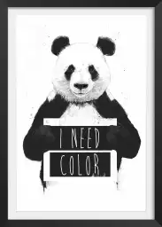 Panda need color - tableau animaux noir et blanc