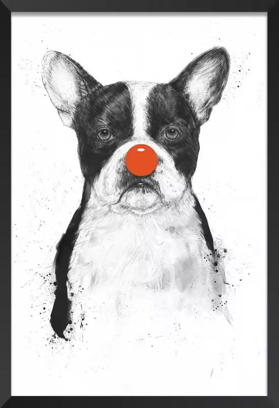 Bulldog clown - animaux en noir et blanc