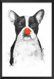 Bulldog clown - animaux en noir et blanc