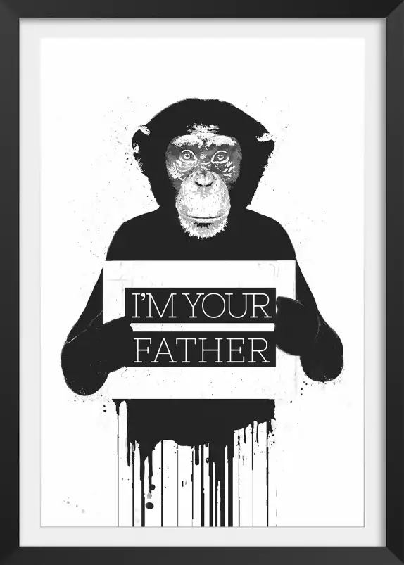 Chimpanze father - animaux en noir et blanc