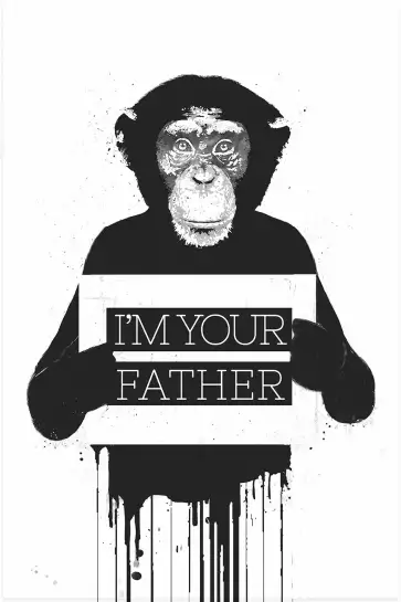 Chimpanze father - animaux en noir et blanc