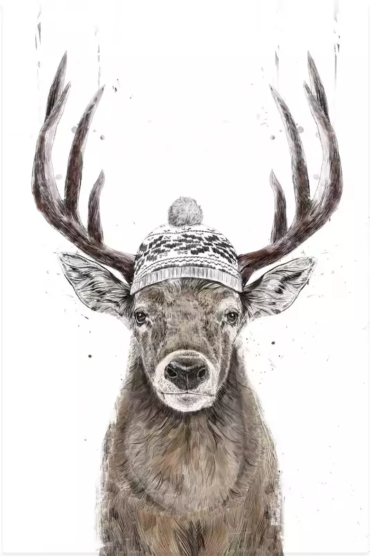 Winter deer - affiche animaux