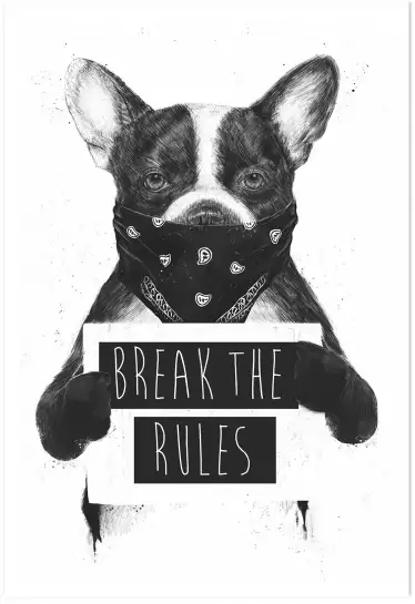 Bulldog rebell - animaux en noir et blanc