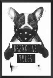 Bulldog rebell - animaux en noir et blanc