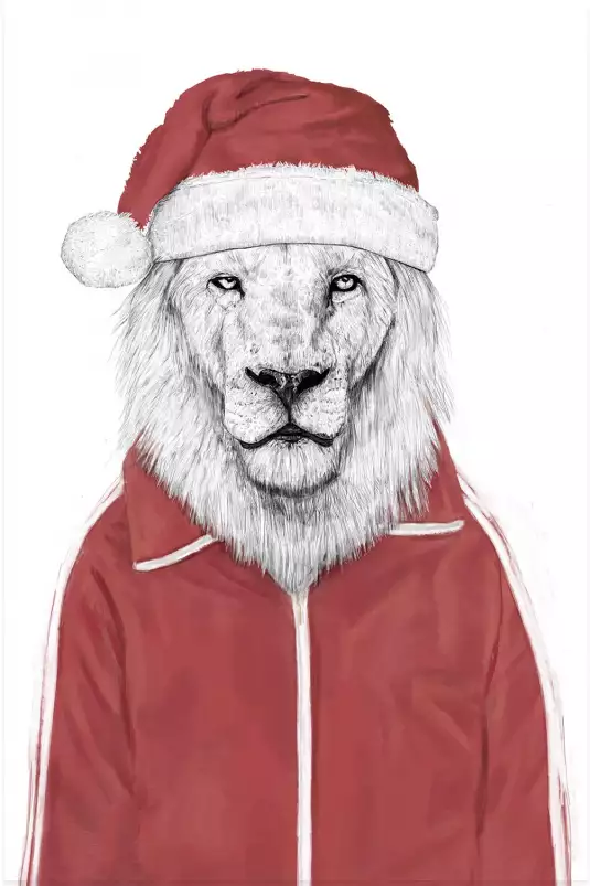 Santa lion - animaux déguisé