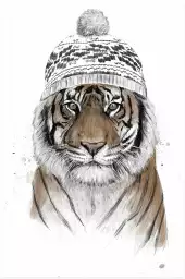 siberian tiger - animaux déguisé