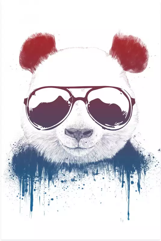 French panda - animaux déguisé