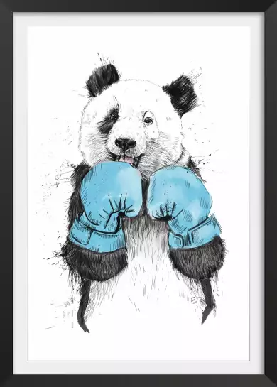 Boxe panda - animaux déguisé