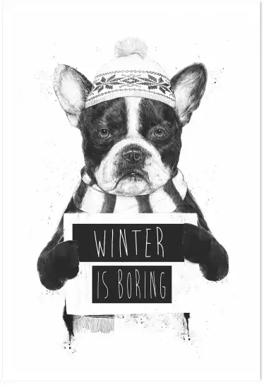 Winter is boring - animaux déguisé