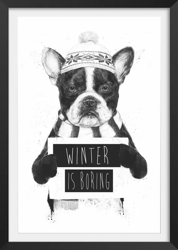 Winter is boring - animaux déguisé