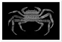 Crab - poster animaux