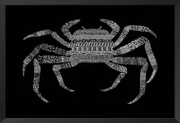 Crab - poster animaux