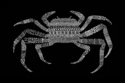 Crab - poster animaux