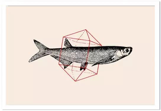 Fish In Geometrics II - graphisme animaux