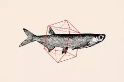 Fish In Geometrics II - graphisme animaux