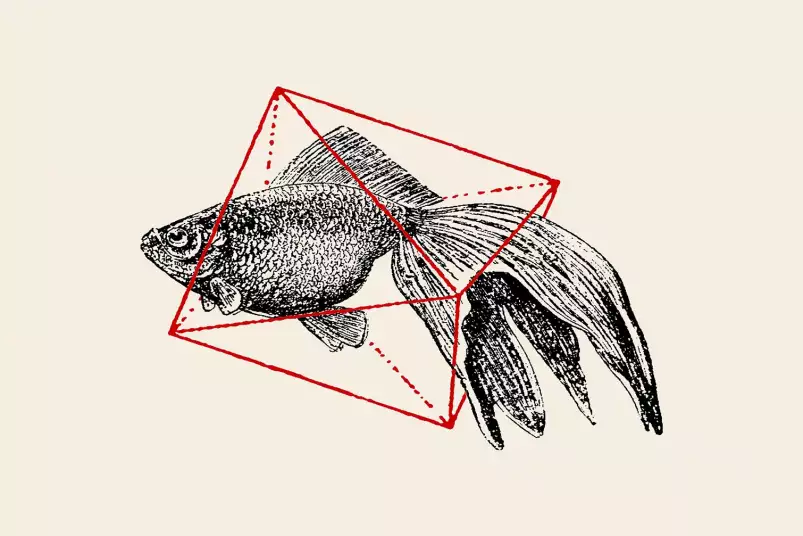 Fish In Geometrics - graphisme animaux