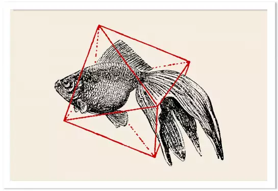 Fish In Geometrics - graphisme animaux