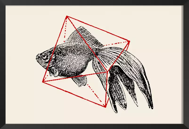 Fish In Geometrics - graphisme animaux