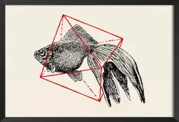 Fish In Geometrics - graphisme animaux