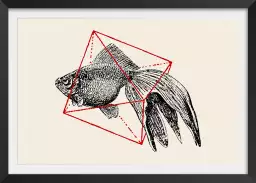 Fish In Geometrics - graphisme animaux