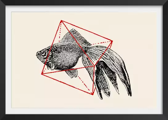 Fish In Geometrics - graphisme animaux
