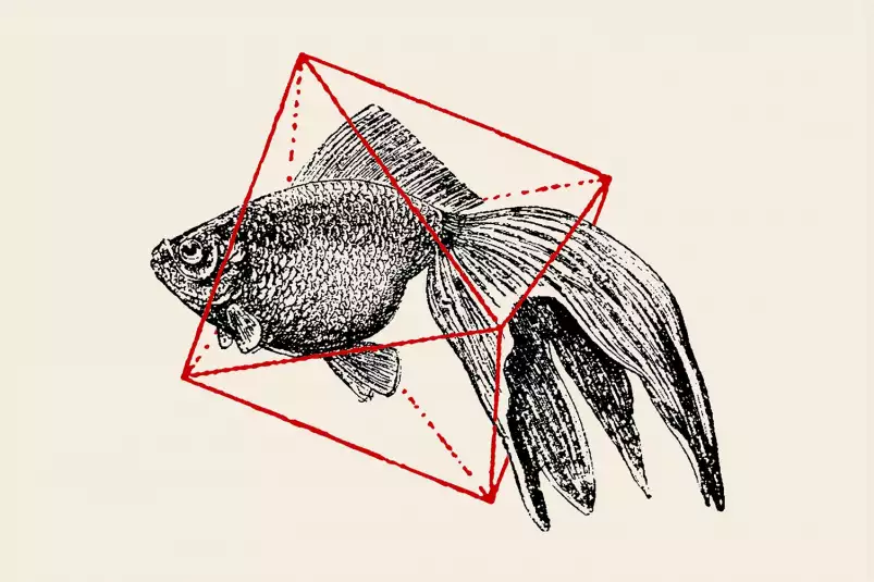 Fish In Geometrics - graphisme animaux