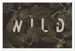 Wild main - tableau plante