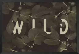 Wild main - tableau plante