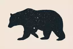 Grande ourse - affiche animaux
