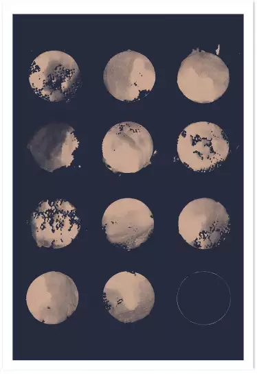 Les 12 lunes - poster astronomie