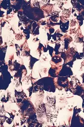 Foule chat - tableau art