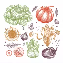 Les agrumes - affiche fruits et legumes