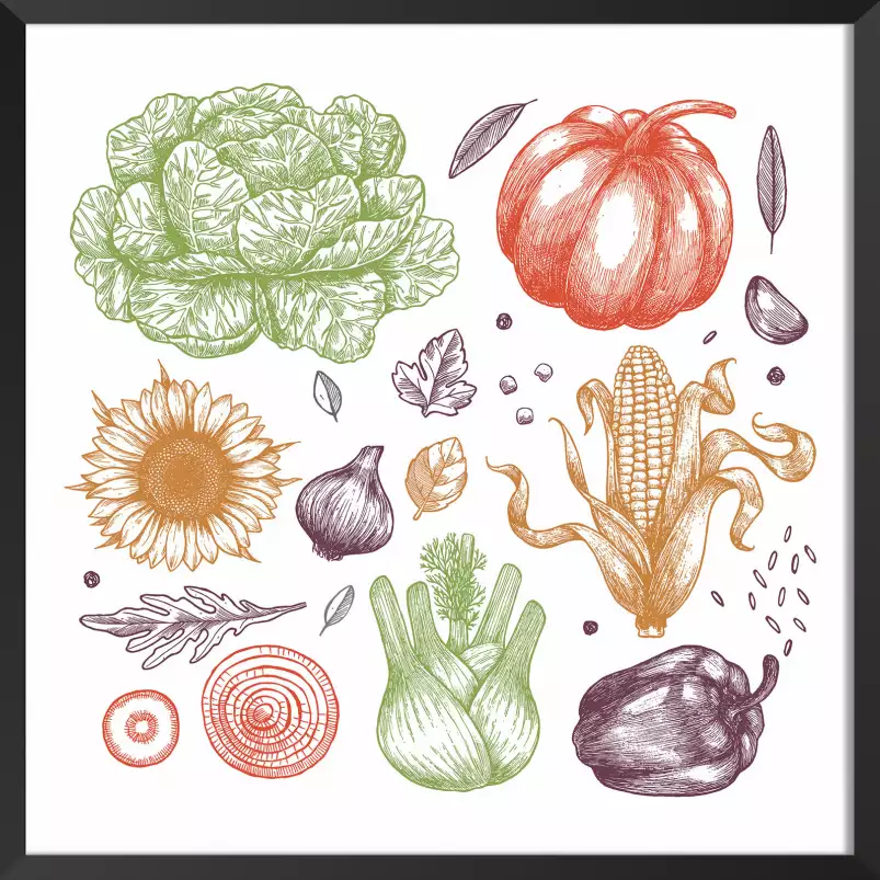 Les agrumes - affiche fruits et legumes